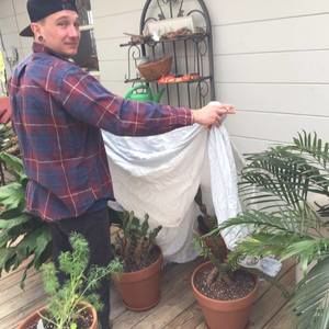 Meet your Posher, Shea